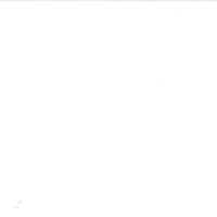 Deluxe Light Filtering Zebra combi shades – LUX 1 White