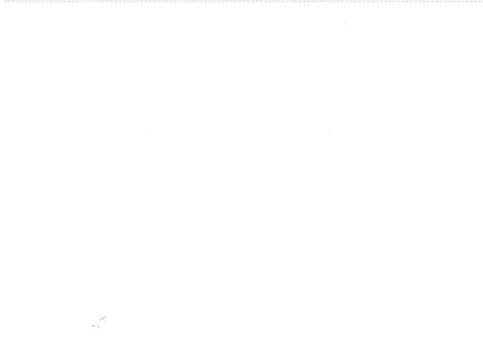Deluxe Light Filtering Zebra combi shades – LUX 1 White