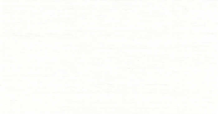 Deluxe Light Filtering Zebra combi shades – LUX 1 Ivory