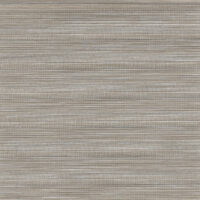 Classic Shine Light Filtering Crease Shine-Mushroom