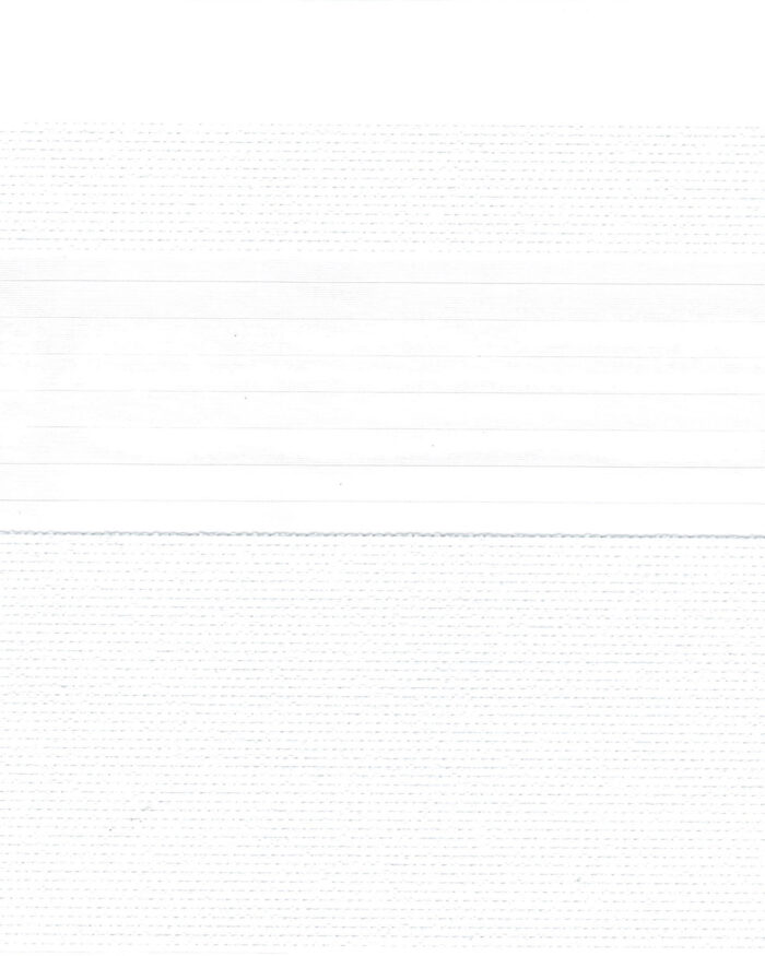 New Trendy Design Zebra combi shades- Chanel Combi White - Image 2