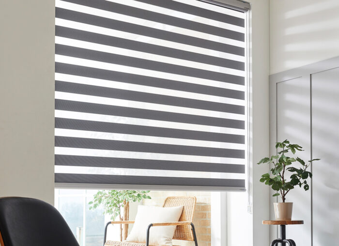 New Trendy Design Zebra combi shades- Chanel Combi