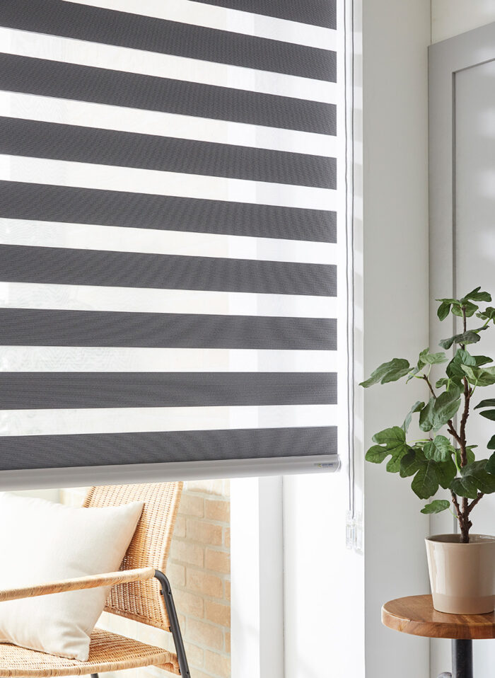 New Trendy Design Zebra combi shades- Chanel Combi - Image 3