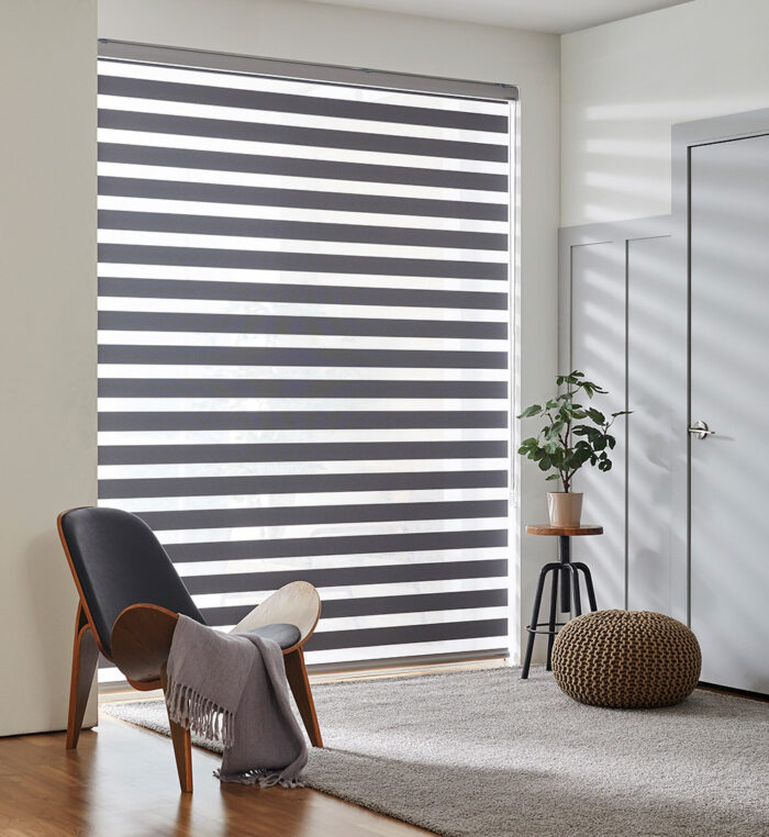 New Trendy Design Zebra combi shades- Chanel Combi - Image 5