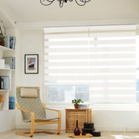 Classic Shine Light Filtering Zebra combi shades- Crease Shine